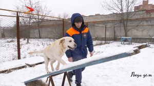 Спасатель-кинолог