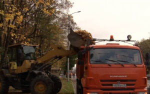 Сотрудники «Спецэкосервиса» убирают улицы города от опавшей листвы