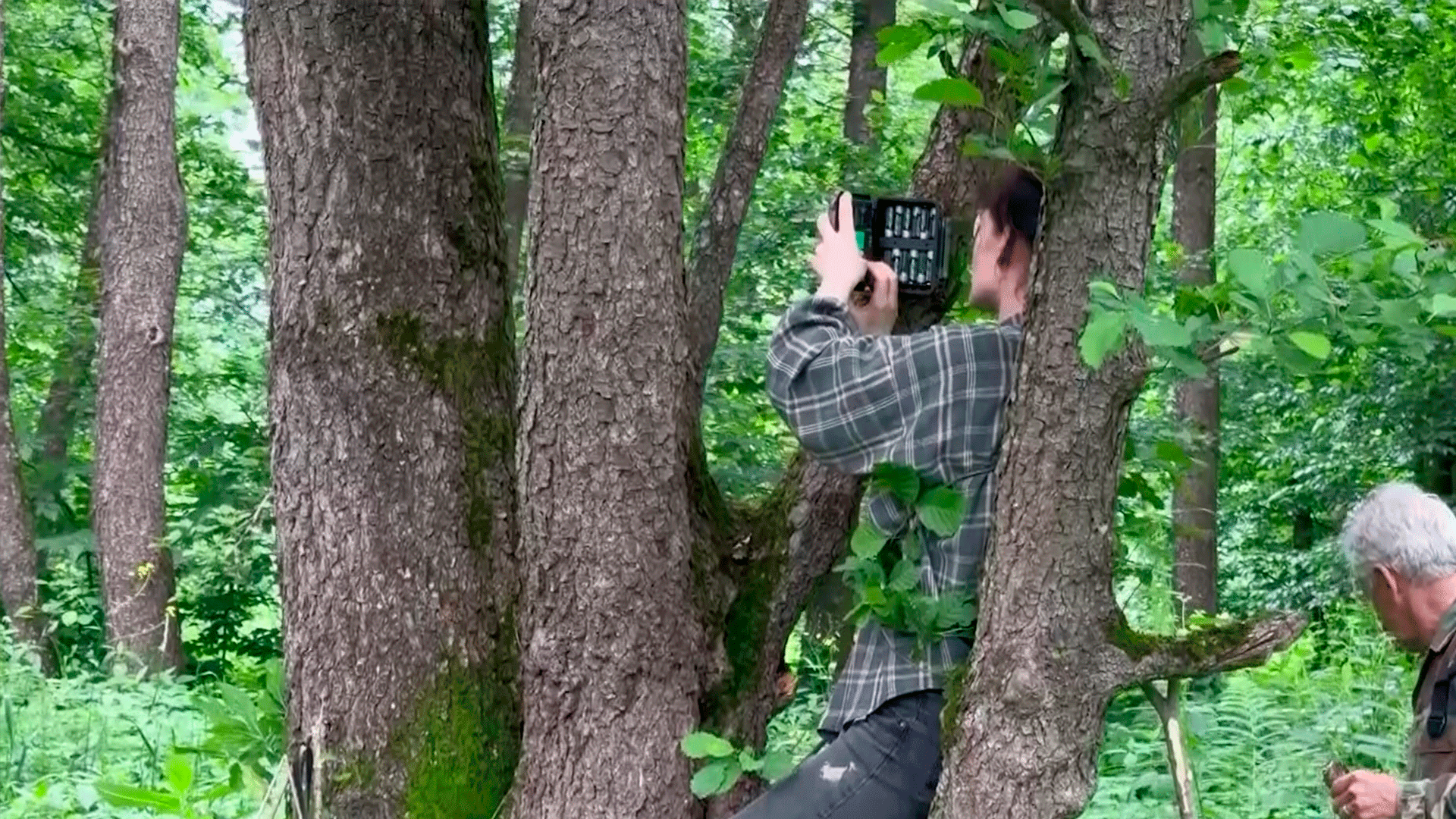 В Северной Осетии начали установку 30 фотоловушек